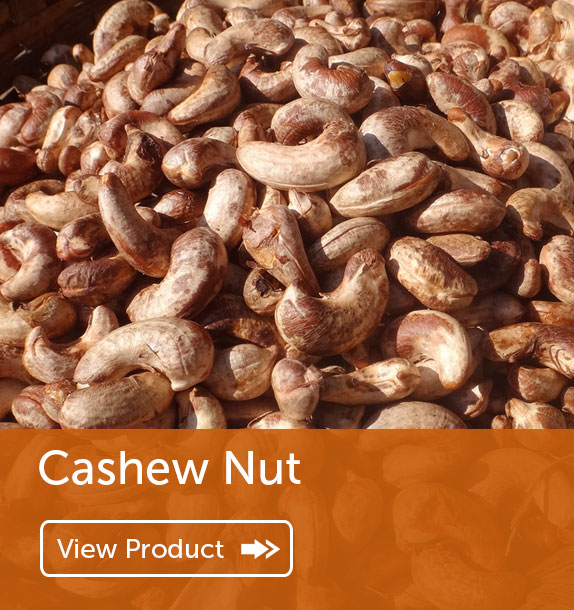 Export of Cashew Nut in Nigeria & Ghana