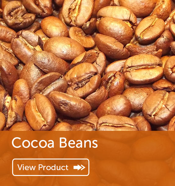 Export of Cocoa Beans in Nigeria & Ghana