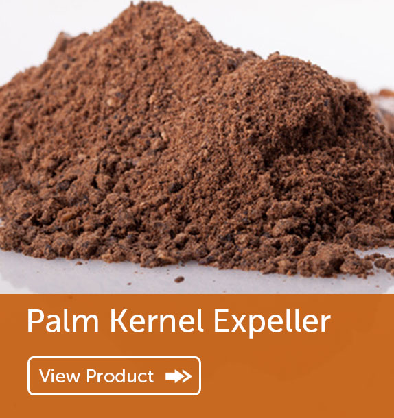 Export of Palm Kernel Expeller in Nigeria & Ghana