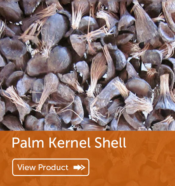 Export of Palm Kernel Shell in Nigeria & Ghana