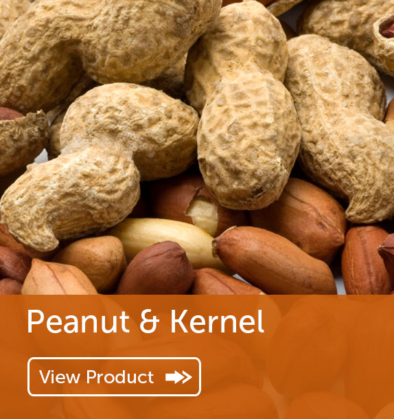 Export of Peanut & Kernel in Nigeria & Ghana