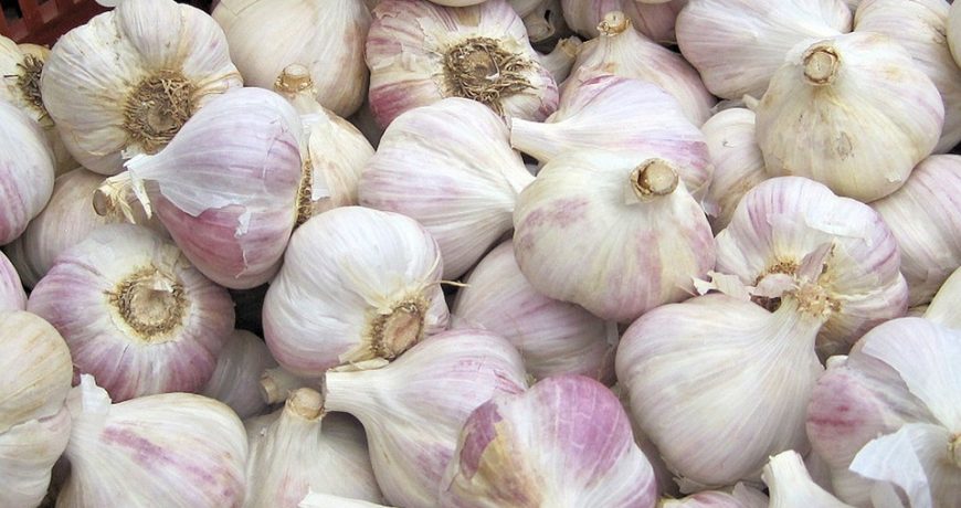 Garlic (Peeled & Unpeeled)